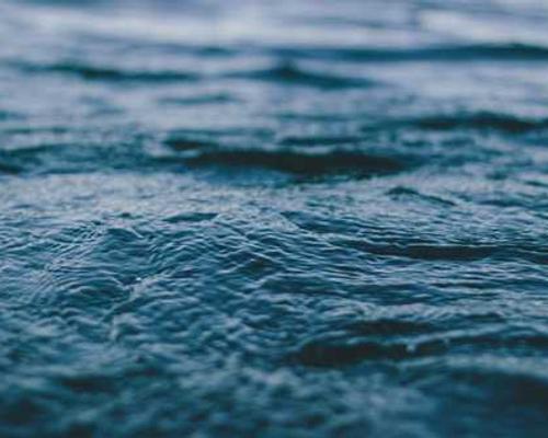 Lit Hub Daily: December 15, 2025