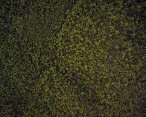 The Best Way to Keep Track of New and Upcoming Queer Books