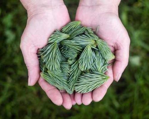 The Bestselling Books of the Week, According to All the Lists