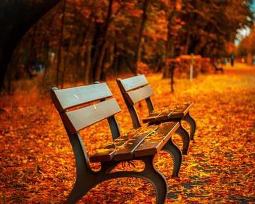 Lit Hub Daily: December 15, 2025