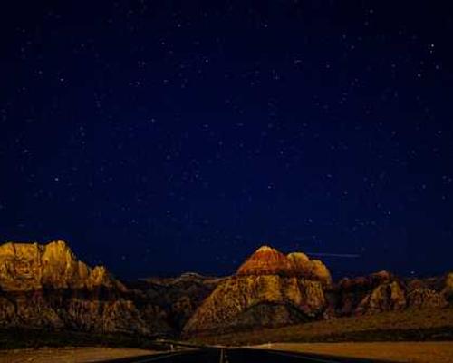 8 Moving and Meaningful Nonfiction Books About Pets