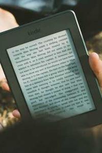 Reviewer
