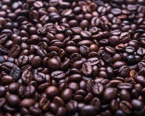 V. E. Schwab says, “I Don’t Believe In Straight Vampires”—and More LGBTQ Lit News