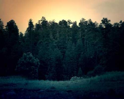 Lit Hub Daily: July 21, 2026