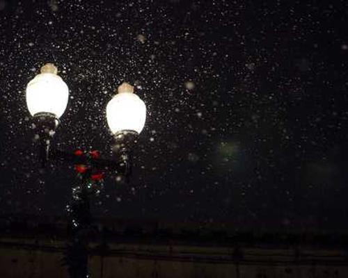 A Whole Bunch of Best Books of 2025 Lists