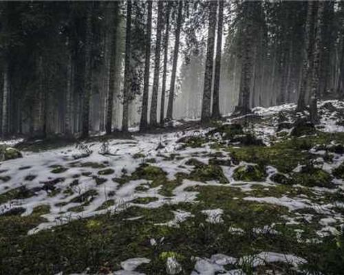 I Wanted My Fiancé to Fight the Racist Men Who Harassed Me